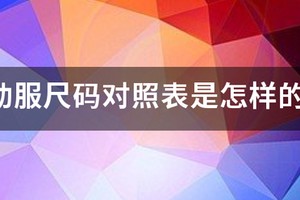 篮球训练服尺码对照表